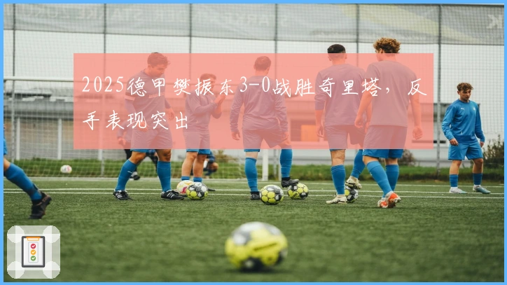 2025德甲樊振东3-0战胜奇里塔，反手表现突出